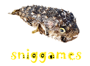 sniggames logo
